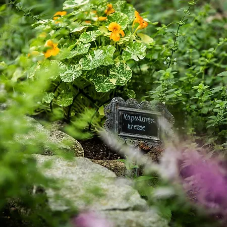 Hotel Wunsch Muerz - Natural Health & Bad Füssing