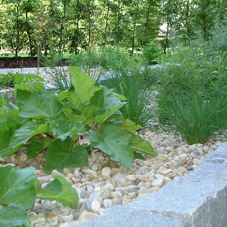 Hotell Wunsch Muerz - Natural Health & Bad Füssing