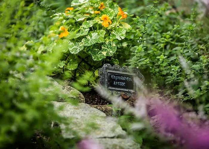 Hotel Wunsch Muerz - Natural Health & Bad Füssing